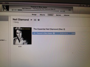 screen shot (photo by Wendy Kennar)